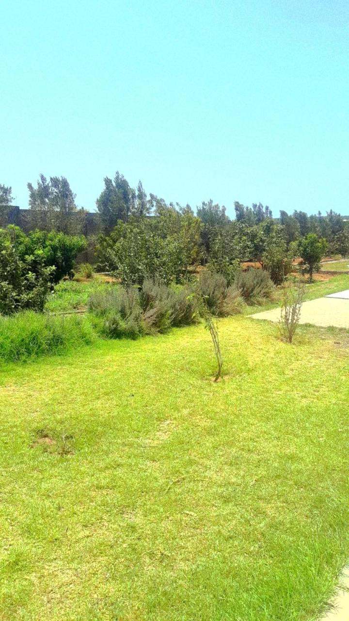Ferme Prive Avec Piscine Villa Safi Buitenkant foto